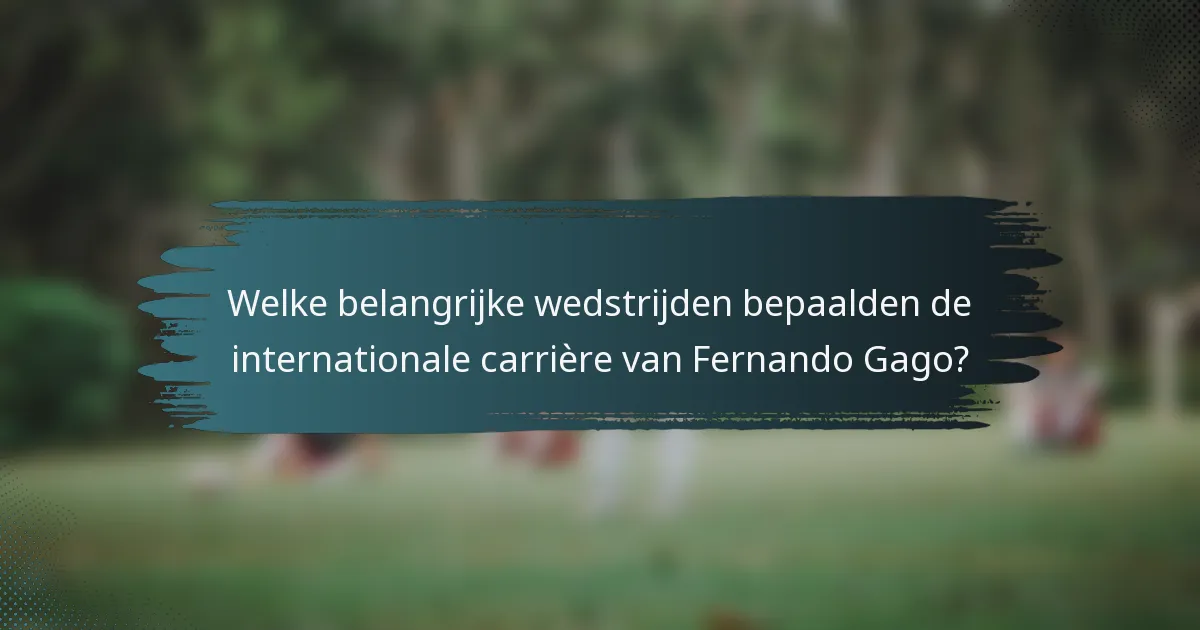 Welke belangrijke wedstrijden bepaalden de internationale carrière van Fernando Gago?